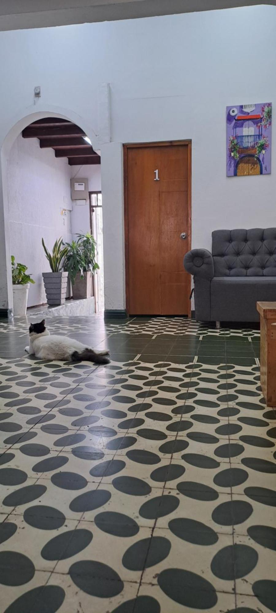 Hostal Casa Lara Cartagena Esterno foto